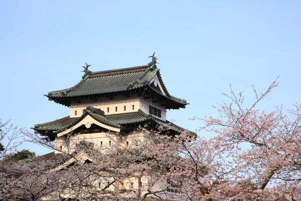 弘前城と桜の花 — ストック写真
