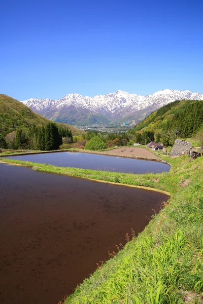 日本アルプスと水田のテラス — ストック写真