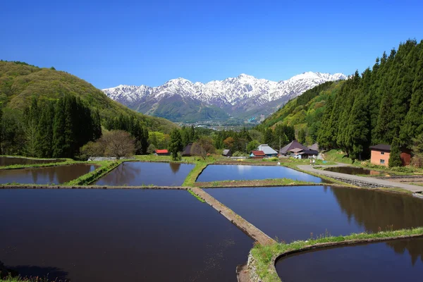 Japonsko Alpy a terasa neloupanou oblasti — Stock fotografie