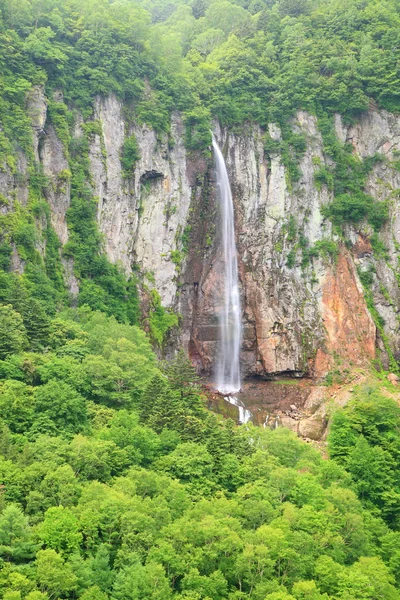 Čerstvé zelené a vodopád — Stock fotografie