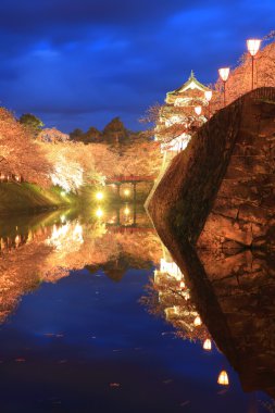 Hirosaki Kalesi ve kiraz çiçekleri yanar