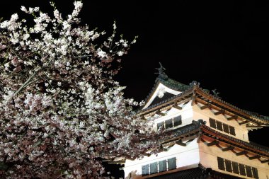 Hirosaki Kalesi ve kiraz çiçekleri yanar