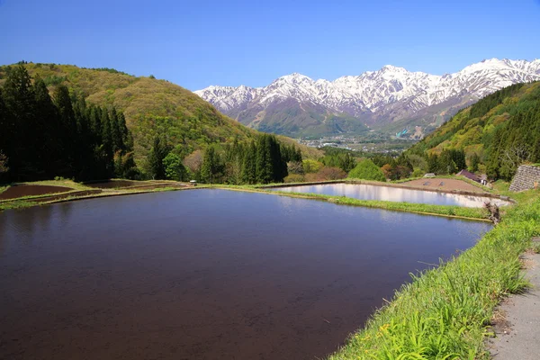Японские Альпы и поле на террасе — стоковое фото