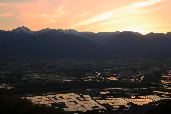 Solnedgång vid översvämmade risfält — Stockfoto