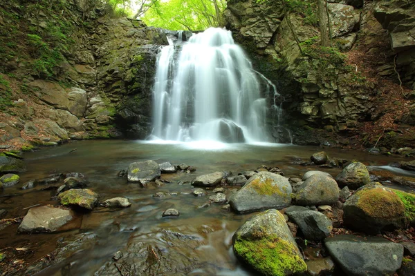 Cachoeira de verde fresco — Fotografia de Stock