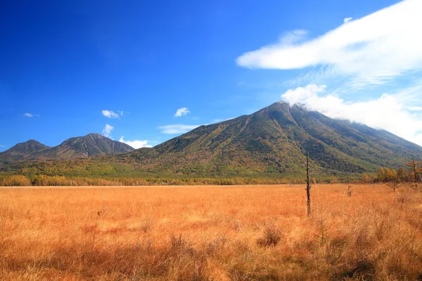 Autunno di nikko — Zdjęcie stockowe