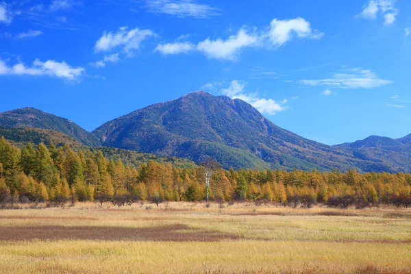 Odashiro plateau of autumn — Stock Photo, Image