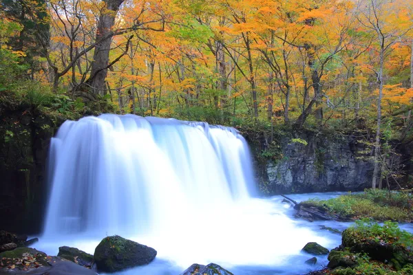 Autumn Colors of Oirase Stream — Stock Photo, Image