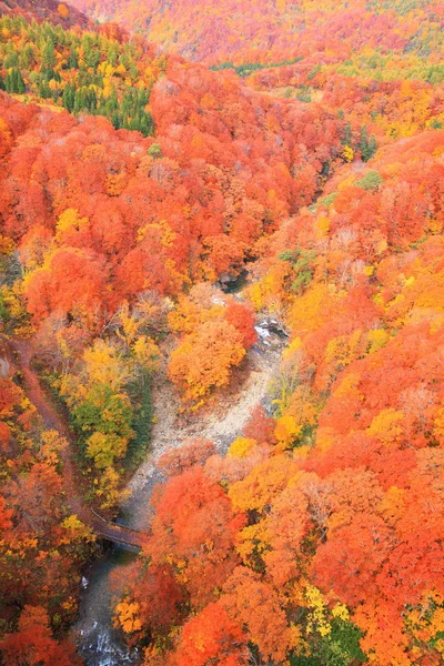 Autumn colours of Valley — Stock Photo, Image