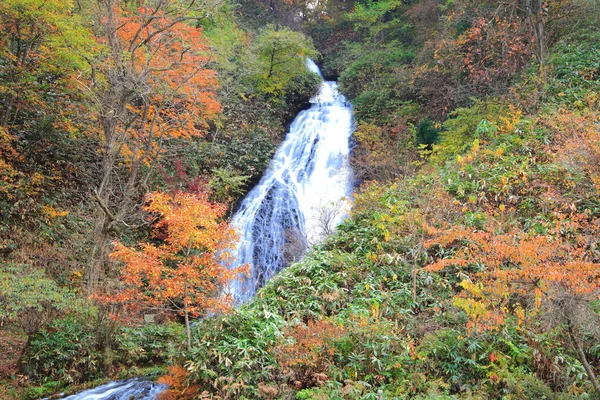 Cascada en otoño — Foto de Stock