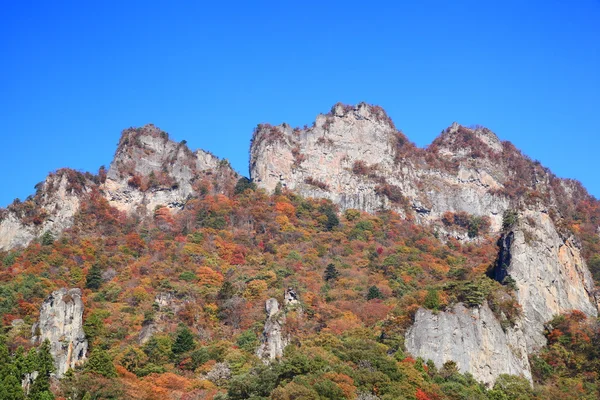 秋天的色彩的峭壁 — 图库照片