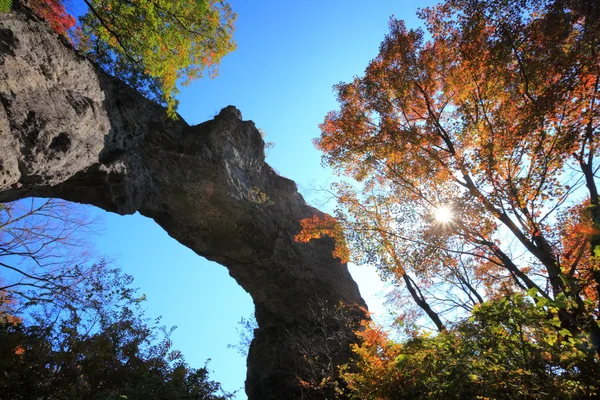 Autumn colours of crag — Stock Photo, Image