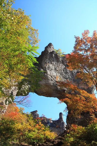 Осінні кольори скелета — стокове фото