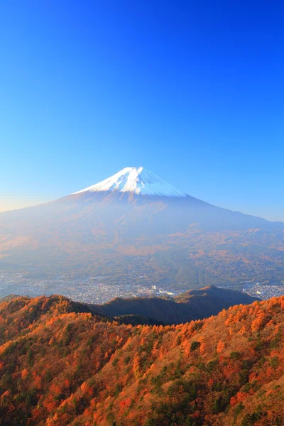 Осінь Mt. fuji — стокове фото