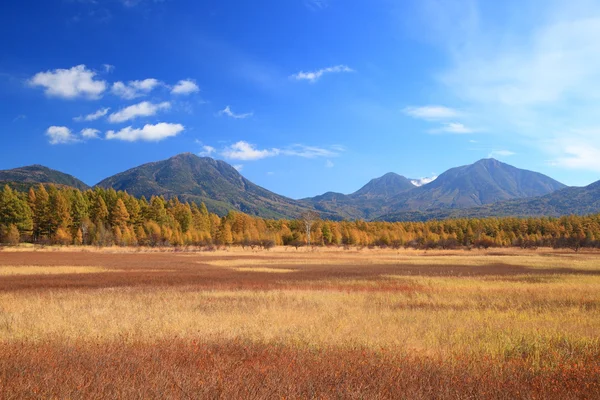 Осеннее плато Одасиро — стоковое фото