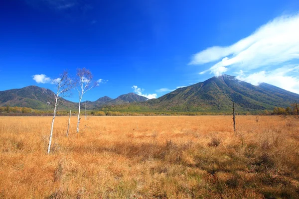 Otoño de Nikko — Foto de Stock