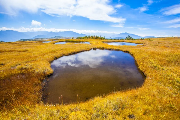 Mt. Naeba Summit Marshland — Foto de Stock