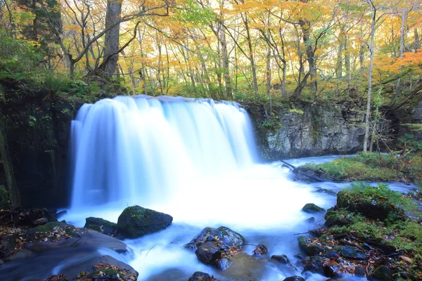 Colores otoñales de Oirase Stream — Foto de Stock