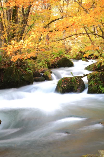 Осінні кольори Oirase потоку — стокове фото