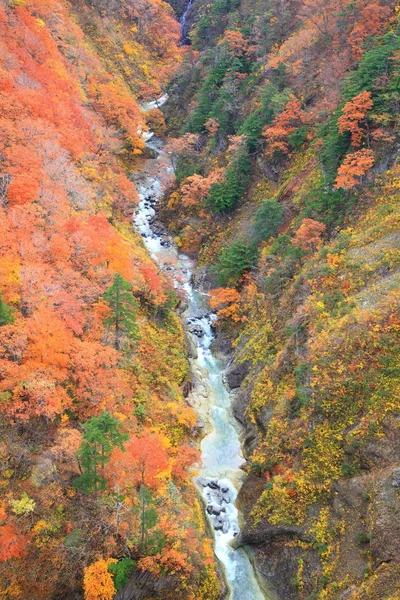 Autumn colours of Valley — Stock Photo, Image