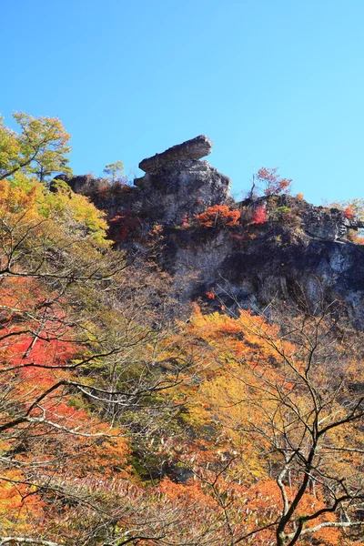 Autumn colours of crag — Stock Photo, Image