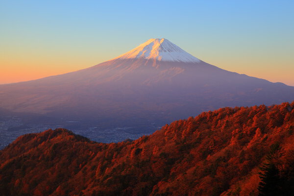 Mt. Fuji glows in the morning sun