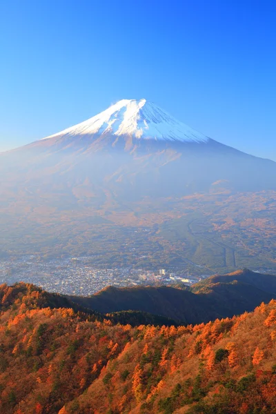 Herfst Mount fuji — Stockfoto