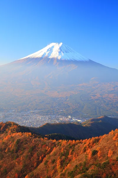 Осінь Mt. fuji — стокове фото