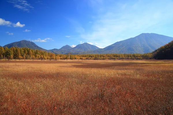 Odashiro-Hochebene im Herbst — Stockfoto