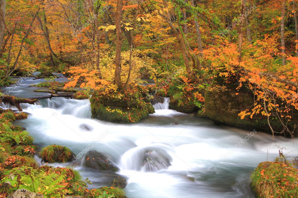 Autumn Colors of Oirase Stream