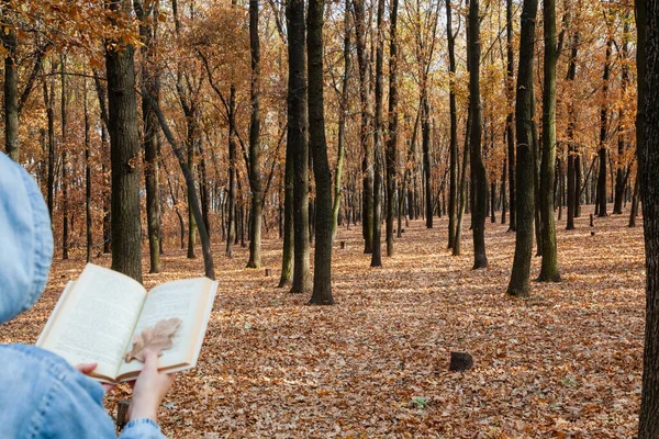 Μυστηριώδης Φθινοπωρινή Ανάγνωση Μια Γυναίκα Σακάκι Κουκούλα Διαβάζει Ένα Βιβλίο — Φωτογραφία Αρχείου