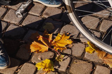 Mavi deri ayakkabılı sağ bacak kare kaldırım taşının üzerinde duruyor. Bisiklet tekerleği ve pedalın yanında. Sarı yalan söylüyor.