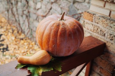 Farklı şekillerde balkabakları. Verandanın korkuluklarında büyük yuvarlak bir balkabağı yatıyor. Önünde uzamış küçük bir kabak uzanır.