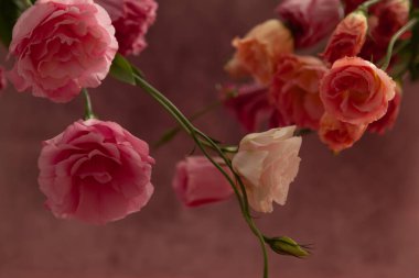 Yatay kartpostal davetiyesi boş, mesaj için yer var. Pembe ve kremalı Eustoma çiçekleri soluk pembe arka grubunda