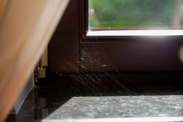 silvery spider web glows in the sun in the corner of a modern window and sill. In the left corner there is a light curtai