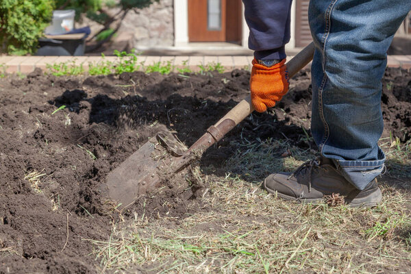 A man in blue jeans digs the ground with a shovel. Dry grass grows on the groun