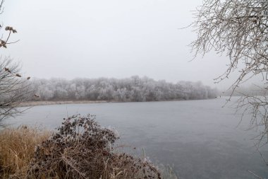 Kış bulutlu bir günde nehrin güzel manzarası. Öngrubunda ağaç dalları