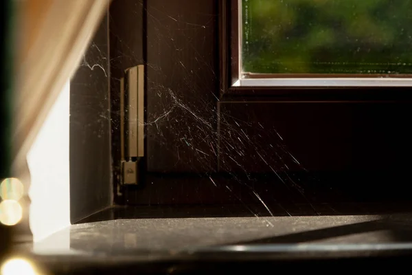 银色蜘蛛网在阳光下闪耀在现代窗户和窗台的角落里 在左边的角落里有一个淡淡的咖哩 — 图库照片