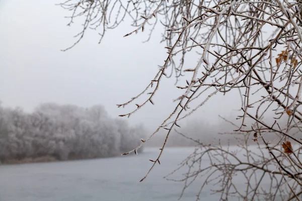 Krásná Krajina Řeky Zimním Oblačném Dni Větve Stromů Popředí — Stock fotografie