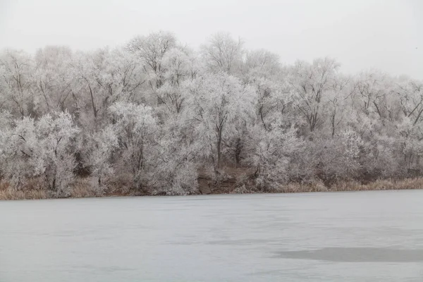 Winter Landscape Trees Banks River Were Covered Layer Frost Foreground — Stock Photo, Image