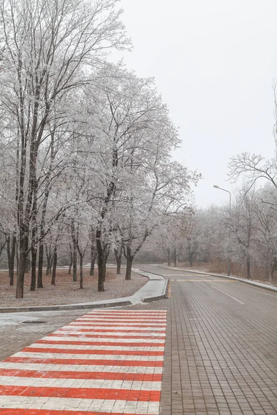 보행자는 겨울에 빨간색과 줄무늬가 보도를 로이아 나무들이 자라고 — 스톡 사진