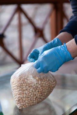 Elleri kauçuk mavi eldivenli, şeffaf plastik bir torbaya kuru bezelyeyle düğüm atıyor.