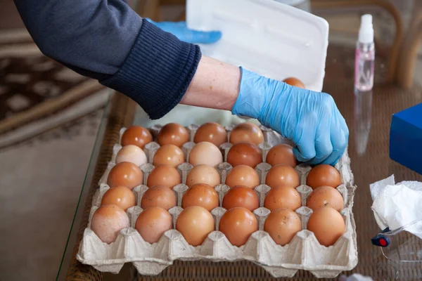 Right Hand Blue Rubber Glove Transferring Yellow Chicken Eggs Cardboard — 图库照片