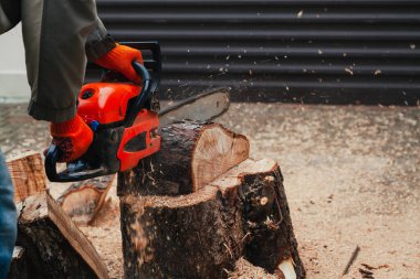 Elektrikli testere çalışıyor. Bir adam ağaç gövdesinin bir parçasını elektrikli testereyle kesiyor. Parça avludaki büyük bir ağaç kütüğünün üzerinde duruyor.