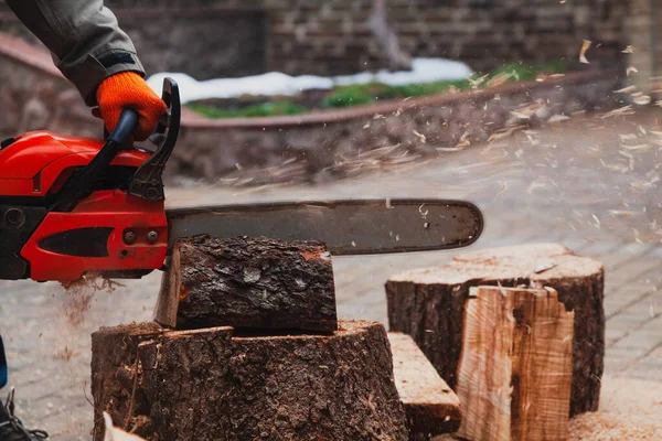 Chainsaw Working Man Sawing Piece Tree Trunk Chainsaw Piece Stands — Stock Photo, Image