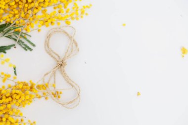 8 Mart bir bahar tatilidir. İpten yapılmış 8 numara beyaz arka planda yatıyor. Yakınlarda sarı bir mimoz dalı uzanıyor.