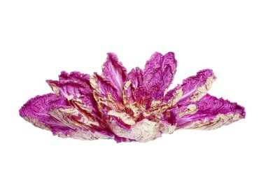 Mor Çin lahanası, yaprakları beyaz bir sırtüstü uzanmış çiçek şeklinde.