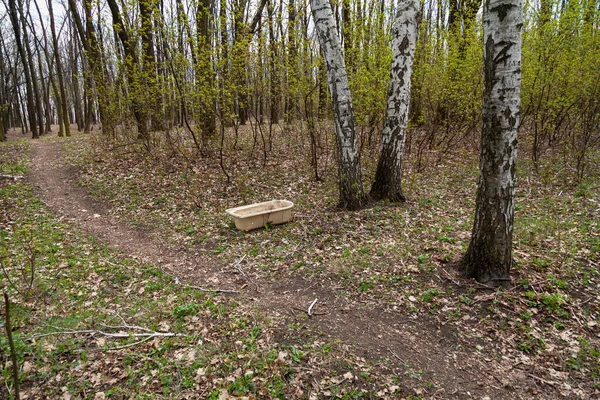 Neočekávaná Krajina Před Kmeny Břízy Jarním Lese Stojí Stará Plastová — Stock fotografie