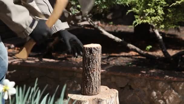 在院子里砍柴 男性手戴黑色手套 用斧头劈开树桩上的圆木圆木圆木 — 图库视频影像