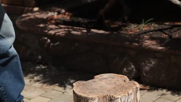 阳光明媚的一天 在树桩上用斧头手工砍柴 木头的一部分折断了 飞到一边去了 — 图库视频影像